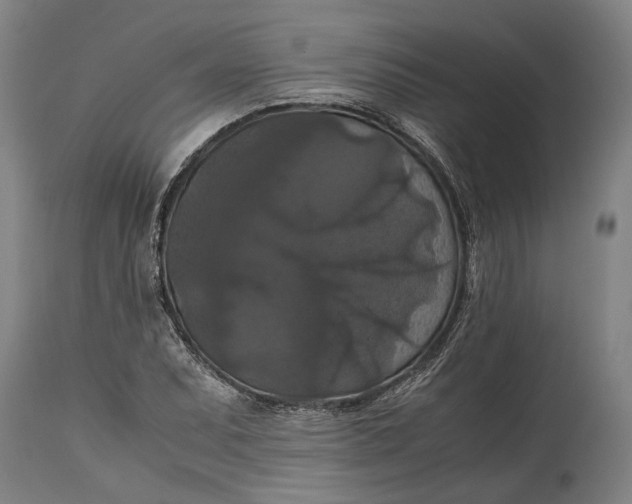 X0000114641071200911101253