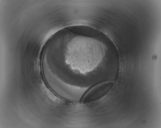 X0000114641072200911101253