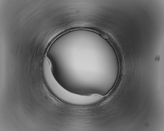 X0000114641073200911101253
