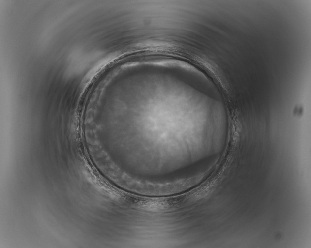 X0000114641074200911101253