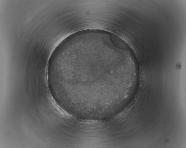 X0000114641076200911101253
