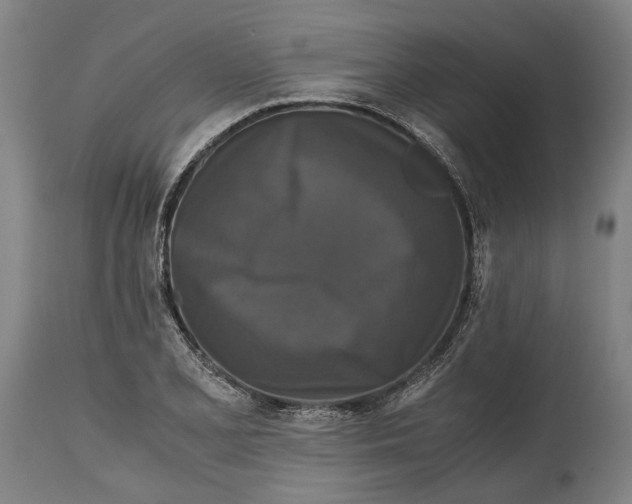 X0000114641077200911101253