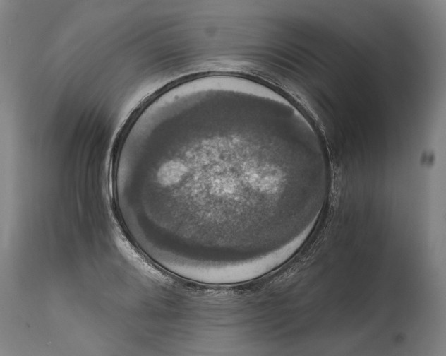 X0000114641080200911101253