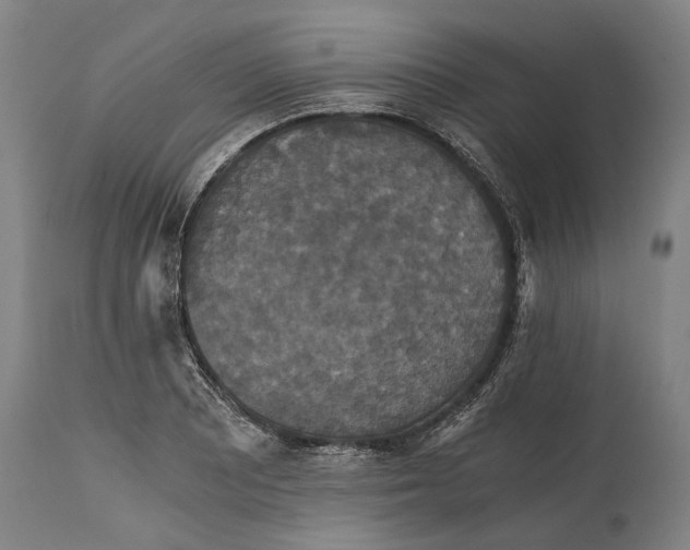 X0000114641081200911101253