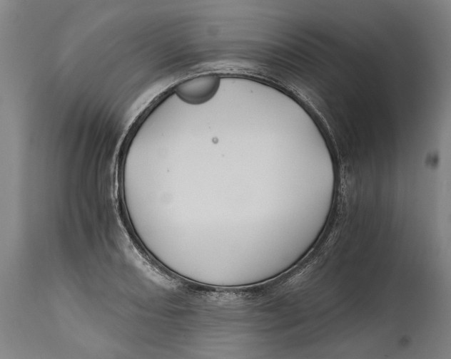 X0000114641082200911101253
