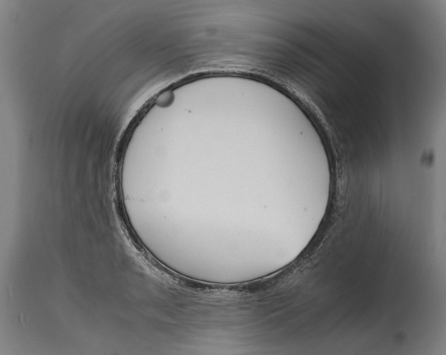 X0000114641085200911101253