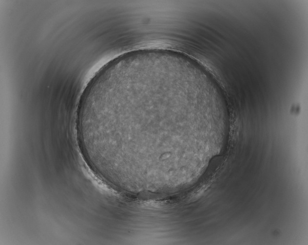 X0000114641086200911101253