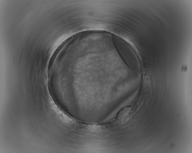 X0000114641088200911101253