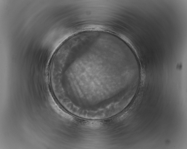 X0000114641090200911101253