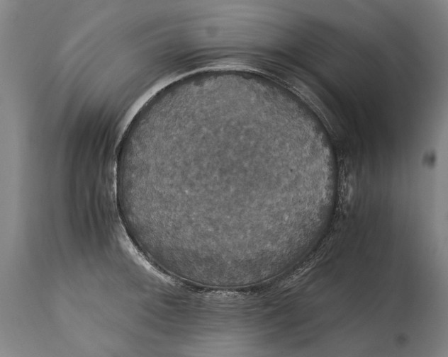 X0000114641092200911101253