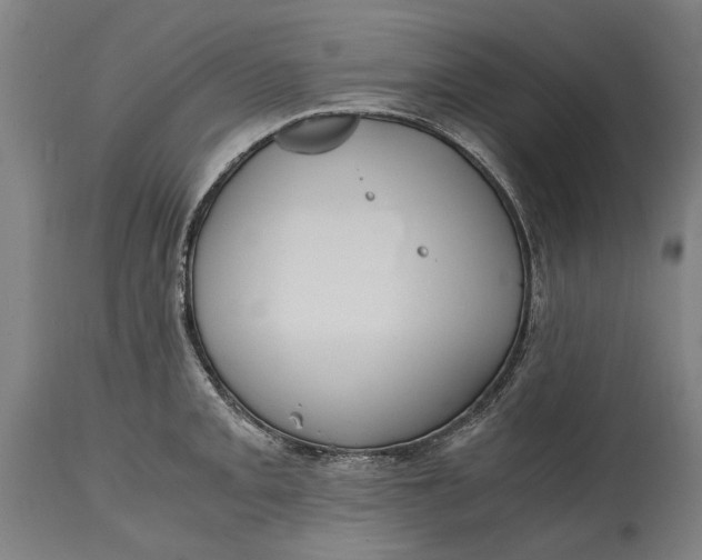 X0000114641093200911101253