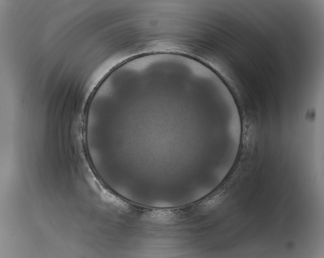 X0000114641094200911101253