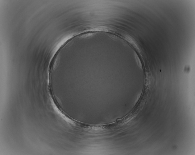 X0000114641095200911101253