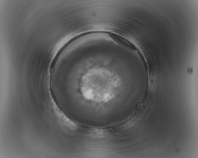 X0000114641096200911101253