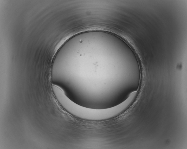 X0000114641097200911101253