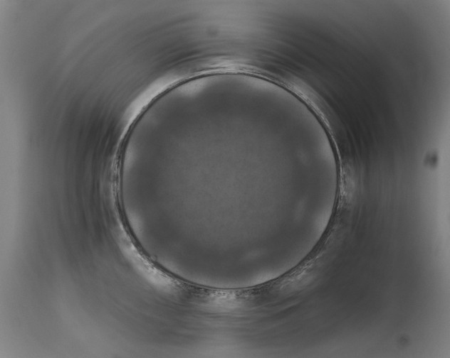 X0000114641098200911101253
