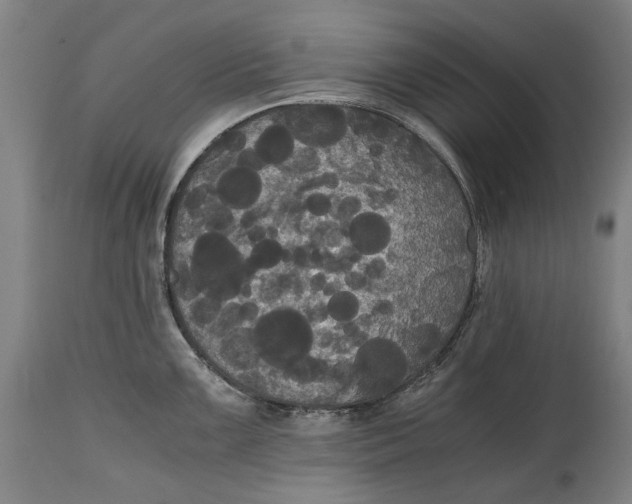 X0000114641099200911101253