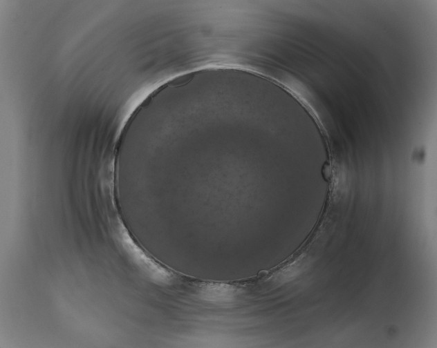 X0000114641100200911101253