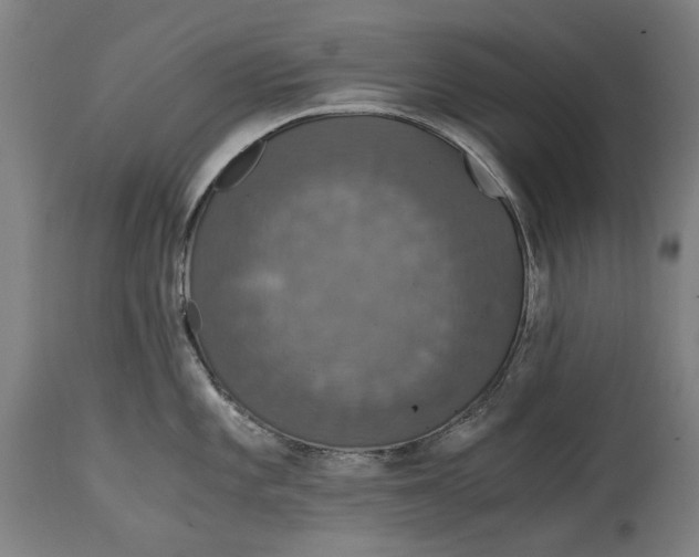 X0000114641101200911101253