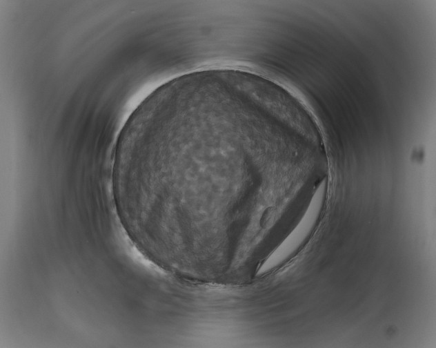 X0000114641102200911101253