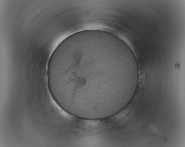 X0000114641103200911101253