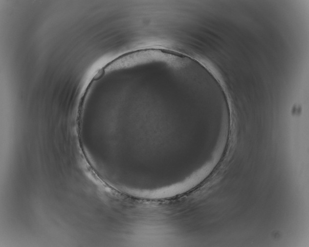 X0000114641104200911101252