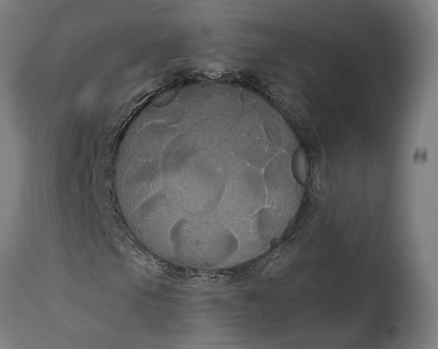 X0000114641105200911101252