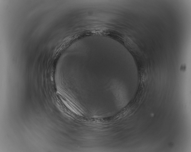 X0000114641106200911101252