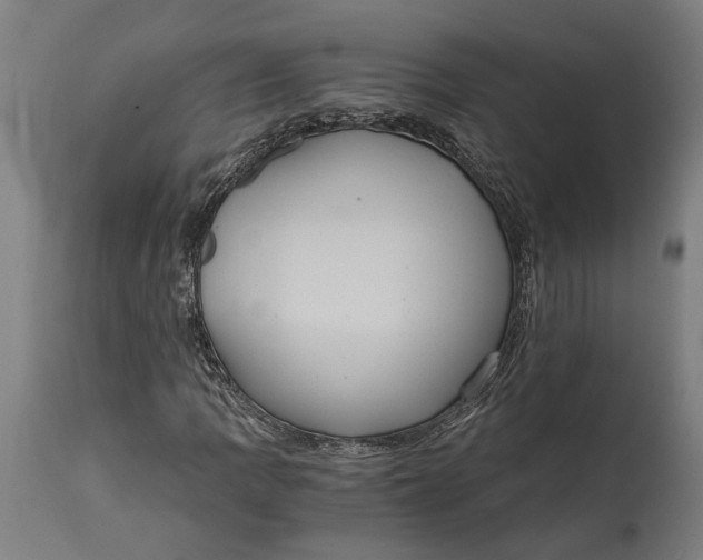X0000114641109200911101252