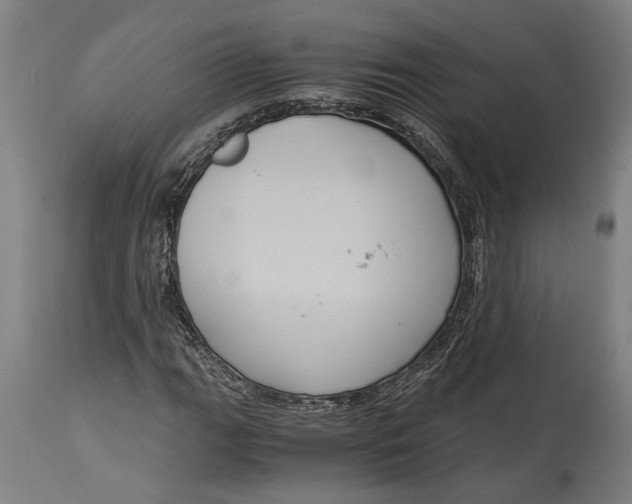 X0000114641111200911101252