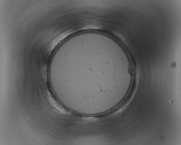 X0000114641113200911101252