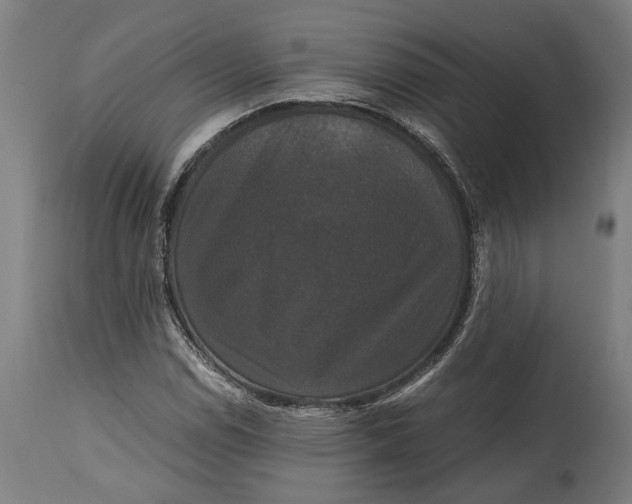 X0000114641114200911101252