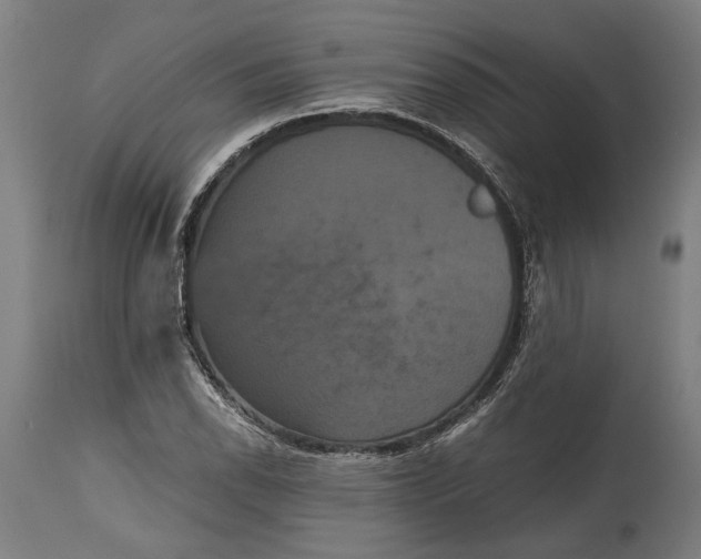 X0000114641118200911101252