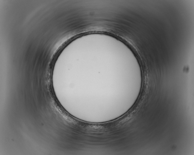 X0000114641119200911101252