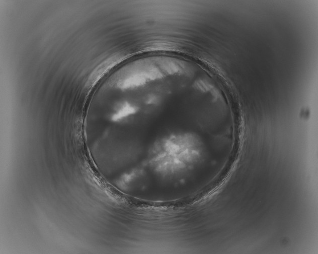 X0000114641121200911101252