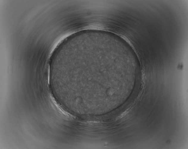 X0000114641123200911101252