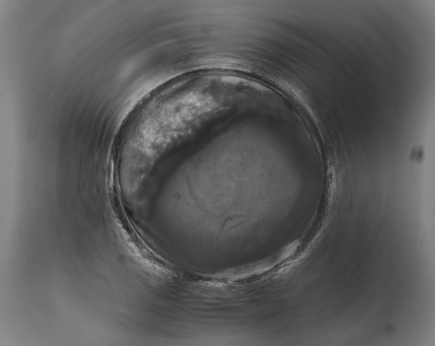 X0000114641125200911101252