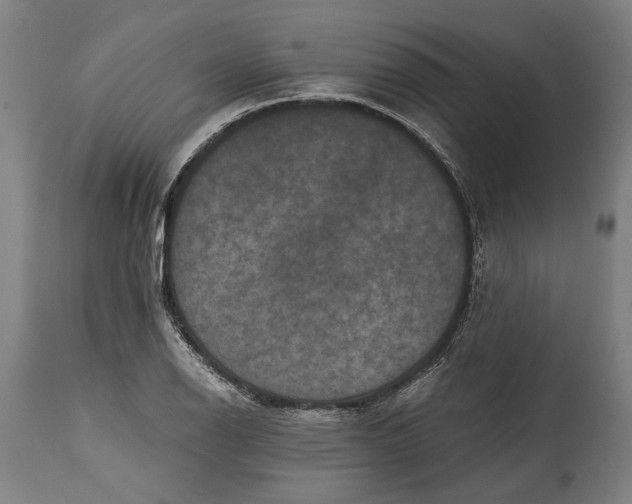 X0000114641126200911101252