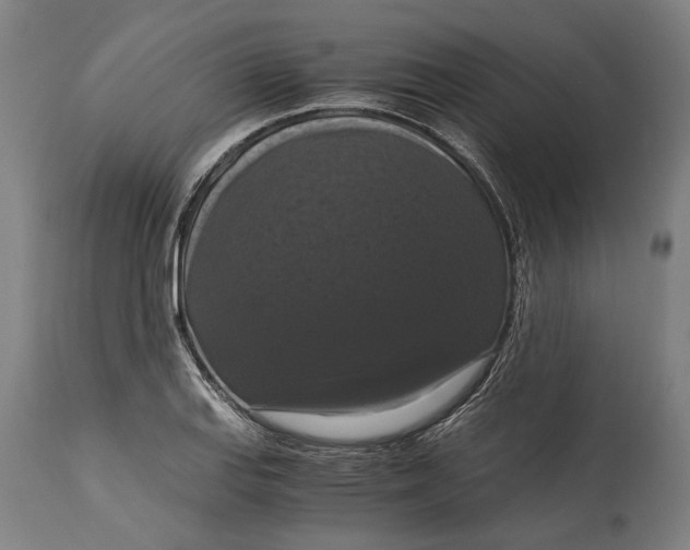 X0000114641127200911101252