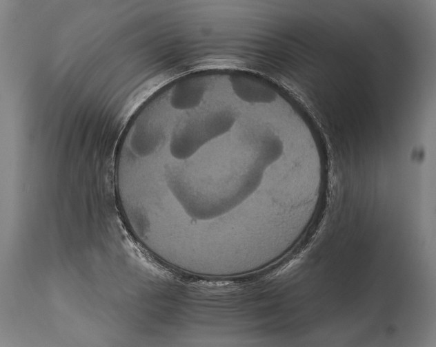 X0000114641129200911101252