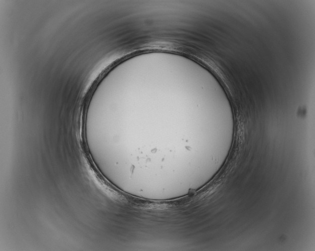 X0000114641131200911101252