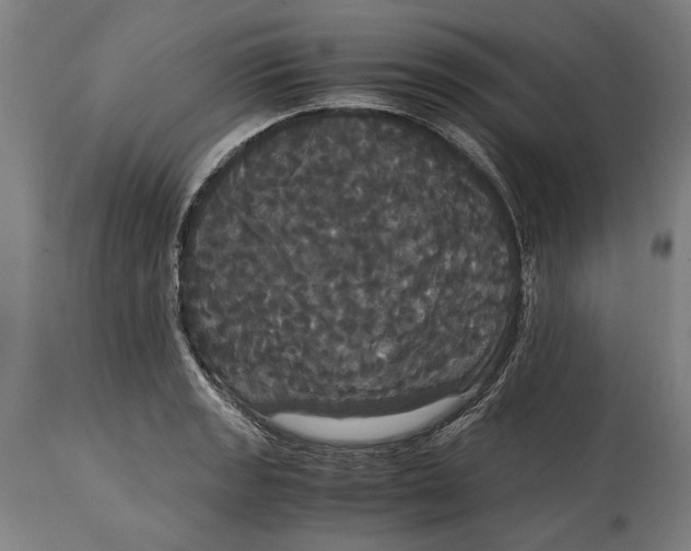 X0000114641133200911101252