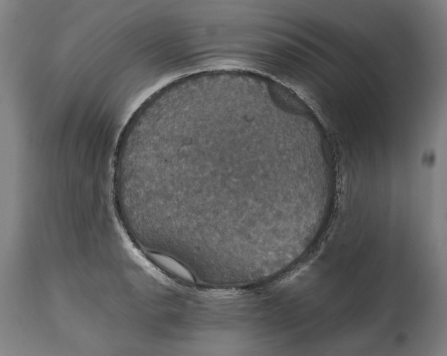X0000114641134200911101252