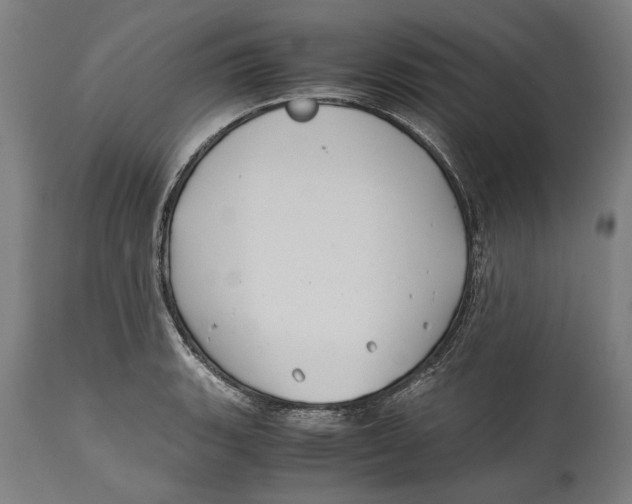 X0000114641135200911101252