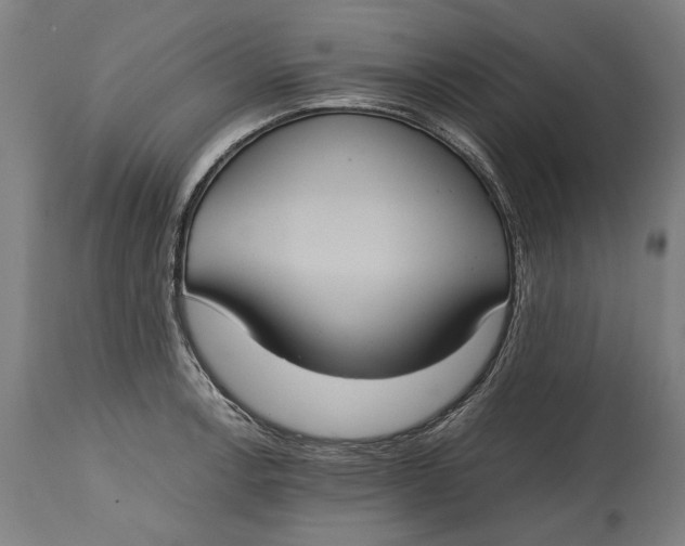 X0000114641138200911101252