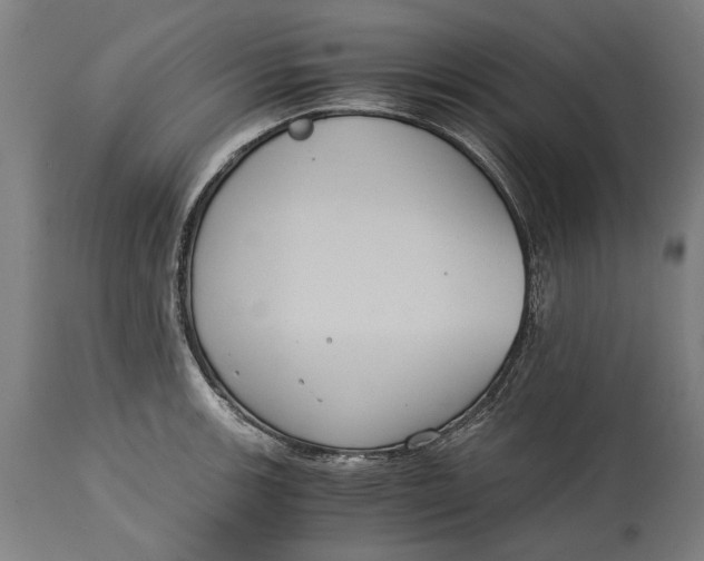 X0000114641139200911101252