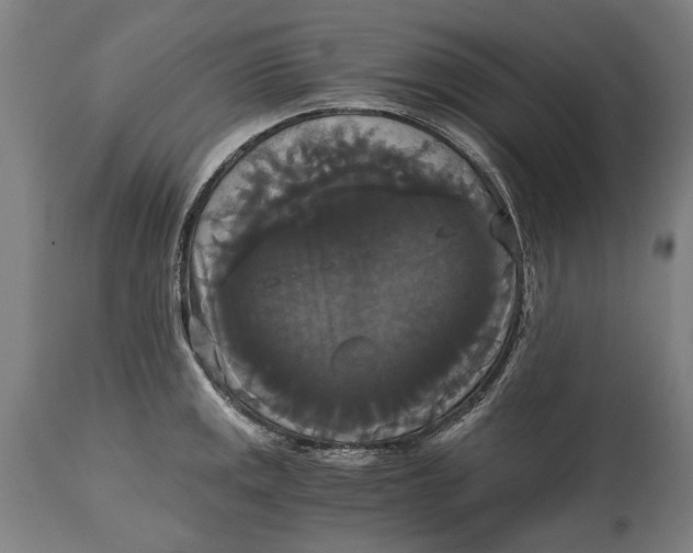 X0000114641141200911101252