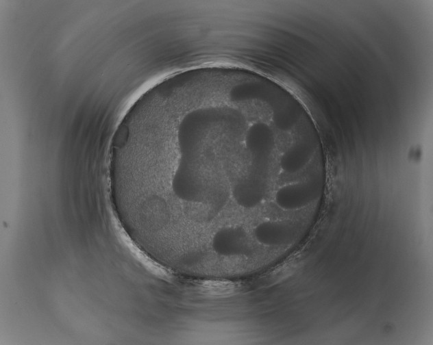 X0000114641142200911101252