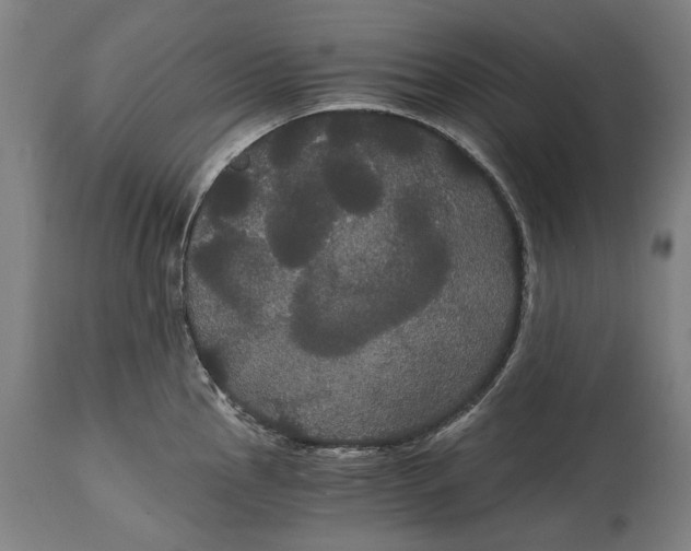 X0000114641145200911101252