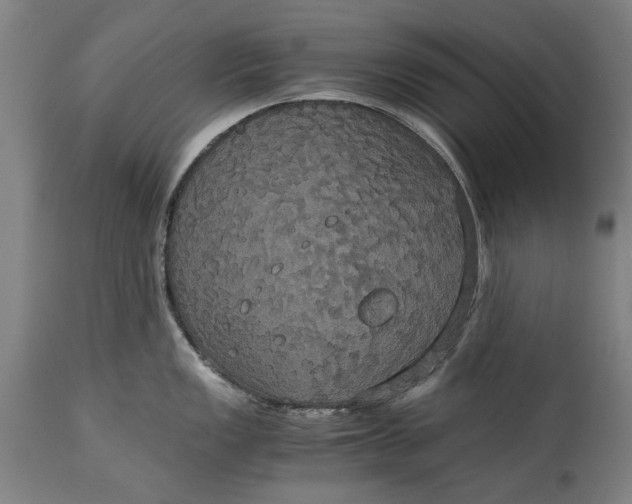 X0000114641149200911101252